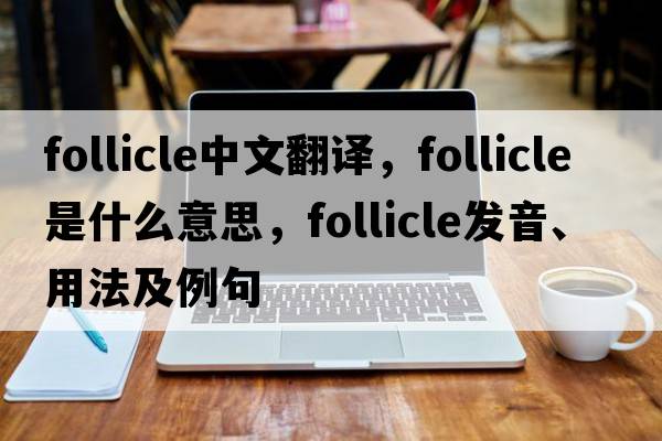 follicle中文翻譯，follicle是什么意思，follicle發(fā)音、用法及例句