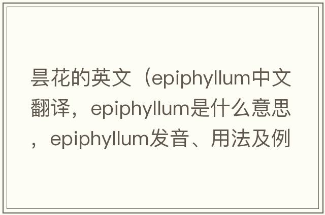 曇花的英文（epiphyllum中文翻譯，epiphyllum是什么意思，epiphyllum發(fā)音、用法及例句）