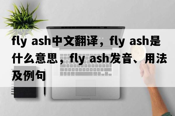 fly ash中文翻譯，fly ash是什么意思，fly ash發(fā)音、用法及例句