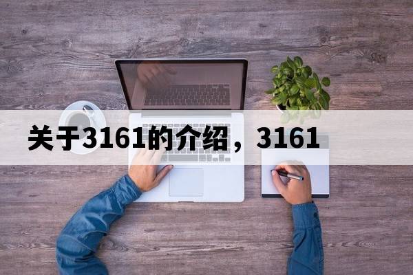 關(guān)于3161的介紹，3161