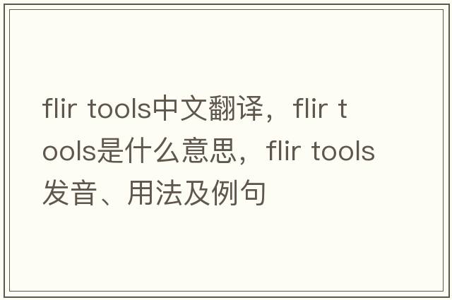 flir tools中文翻譯，flir tools是什么意思，flir tools發(fā)音、用法及例句