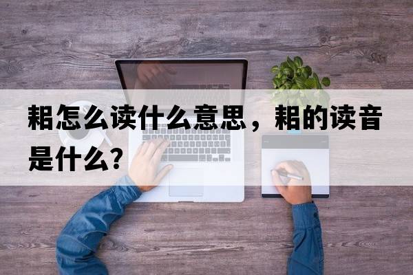耜怎么讀什么意思，耜的讀音是什么？