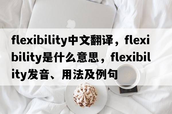flexibility中文翻譯，flexibility是什么意思，flexibility發(fā)音、用法及例句