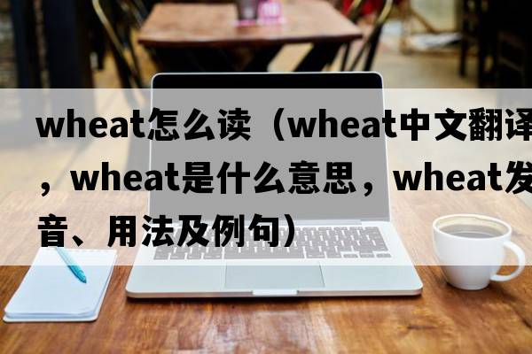 wheat怎么讀（wheat中文翻譯，wheat是什么意思，wheat發(fā)音、用法及例句）