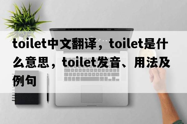 toilet中文翻譯，toilet是什么意思，toilet發(fā)音、用法及例句