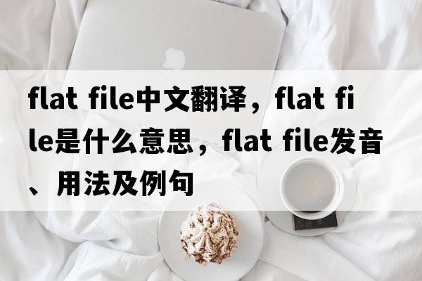 flat file中文翻譯，flat file是什么意思，flat file發(fā)音、用法及例句