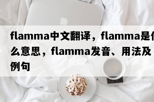 flamma中文翻譯，flamma是什么意思，flamma發(fā)音、用法及例句