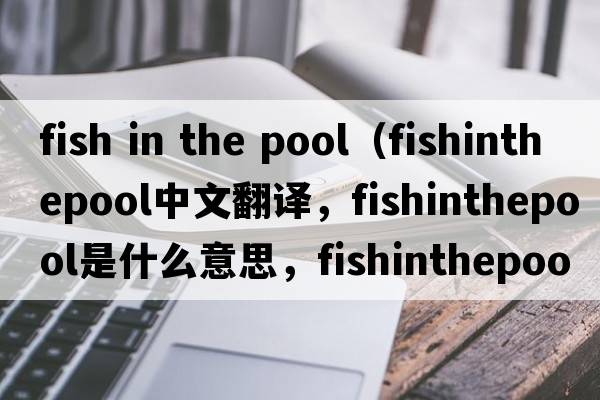 fish in the pool（fishinthepool中文翻譯，fishinthepool是什么意思，fishinthepool發(fā)音、用法及例句）