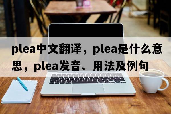 plea中文翻譯，plea是什么意思，plea發(fā)音、用法及例句
