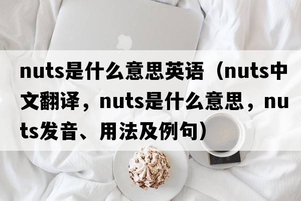 nuts是什么意思英語（nuts中文翻譯，nuts是什么意思，nuts發(fā)音、用法及例句）