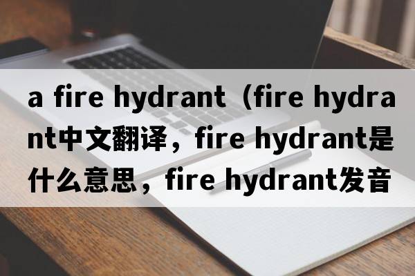 a fire hydrant（fire hydrant中文翻譯，fire hydrant是什么意思，fire hydrant發(fā)音、用法及例句）