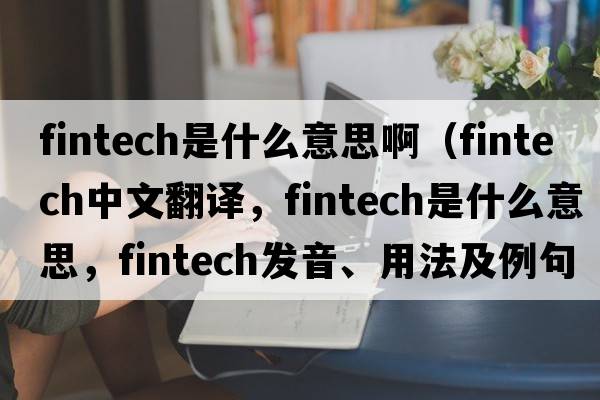 fintech是什么意思啊（fintech中文翻譯，fintech是什么意思，fintech發(fā)音、用法及例句）