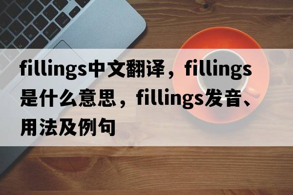fillings中文翻譯，fillings是什么意思，fillings發(fā)音、用法及例句