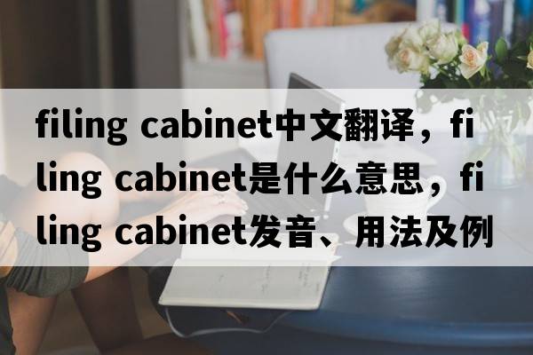 filing cabinet中文翻譯，filing cabinet是什么意思，filing cabinet發(fā)音、用法及例句