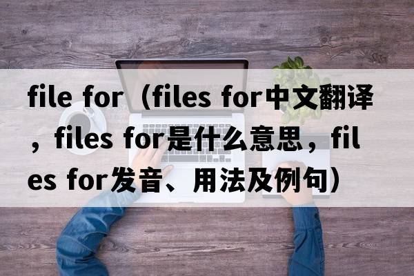 file for（files for中文翻譯，files for是什么意思，files for發(fā)音、用法及例句）