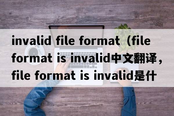 invalid file format（file format is invalid中文翻譯，file format is invalid是什么意思，file format is invalid發(fā)音、
