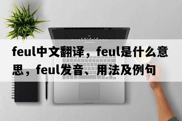feul中文翻譯，feul是什么意思，feul發(fā)音、用法及例句