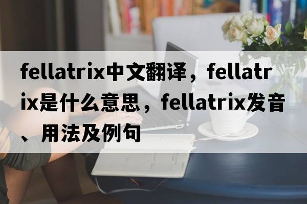fellatrix中文翻譯，fellatrix是什么意思，fellatrix發(fā)音、用法及例句