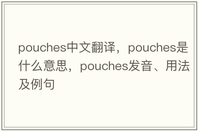 pouches中文翻譯，pouches是什么意思，pouches發(fā)音、用法及例句