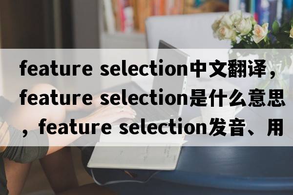 feature selection中文翻譯，feature selection是什么意思，feature selection發(fā)音、用法及例句