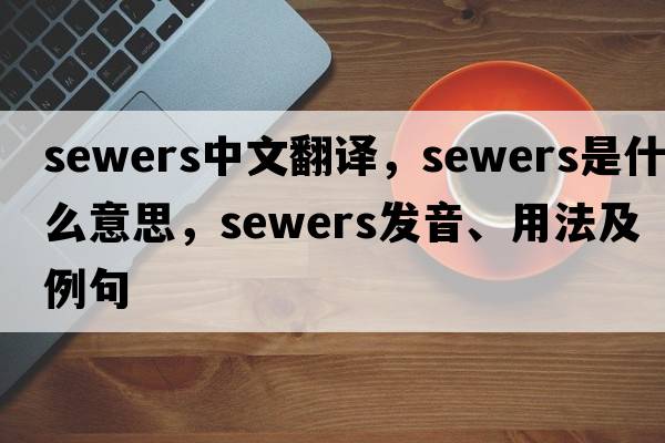 sewers中文翻譯，sewers是什么意思，sewers發(fā)音、用法及例句