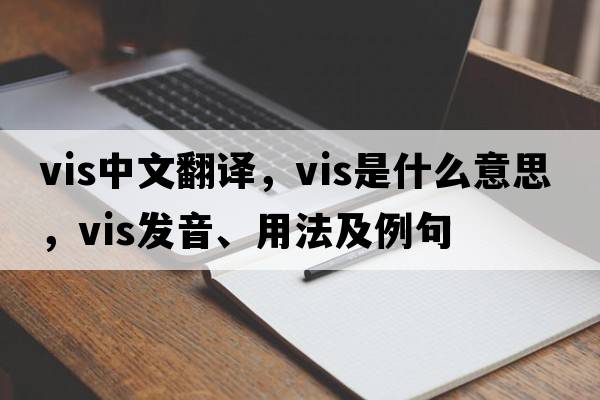 vis中文翻譯，vis是什么意思，vis發(fā)音、用法及例句