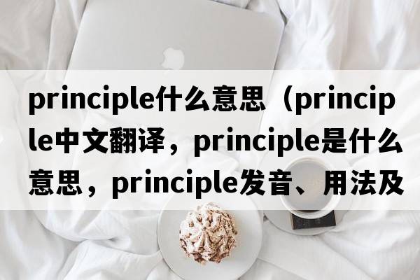 principle什么意思（principle中文翻譯，principle是什么意思，principle發(fā)音、用法及例句）