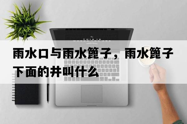 雨水口與雨水篦子，雨水篦子下面的井叫什么
