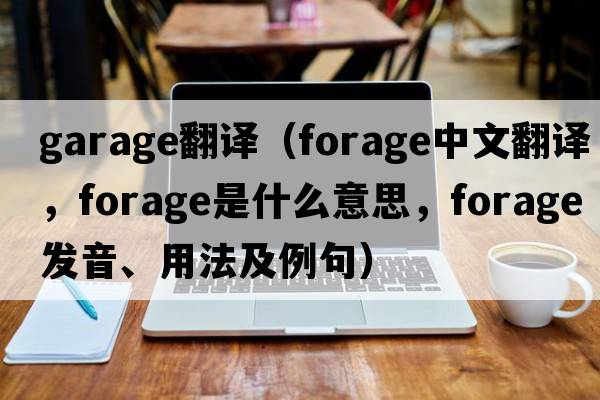 garage翻譯（forage中文翻譯，forage是什么意思，forage發(fā)音、用法及例句）