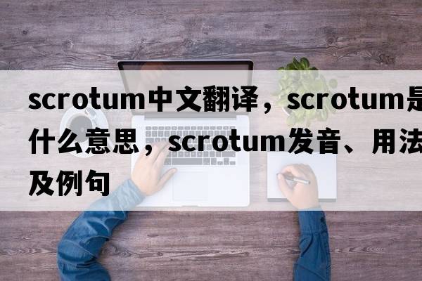 scrotum中文翻譯，scrotum是什么意思，scrotum發(fā)音、用法及例句