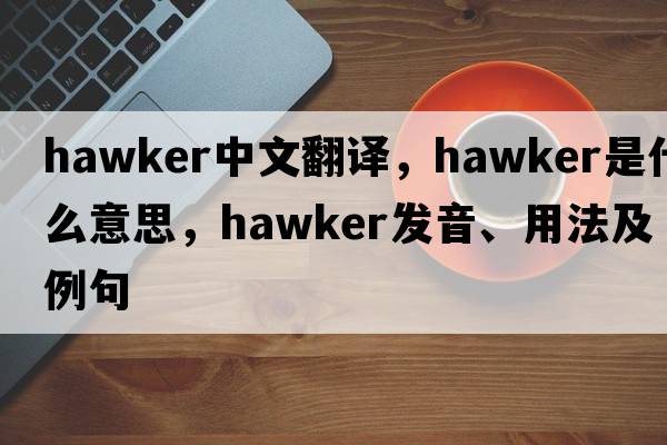 hawker中文翻譯，hawker是什么意思，hawker發(fā)音、用法及例句