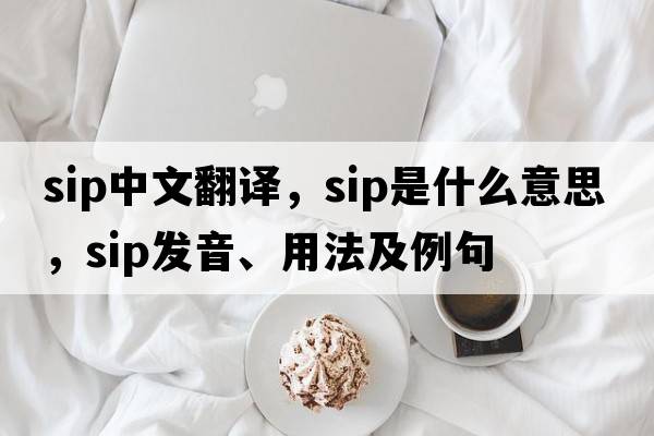 sip中文翻譯，sip是什么意思，sip發(fā)音、用法及例句