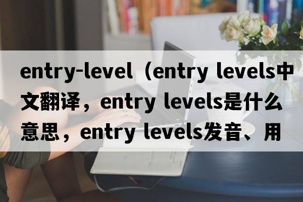 entry-level（entry levels中文翻譯，entry levels是什么意思，entry levels發(fā)音、用法及例句）