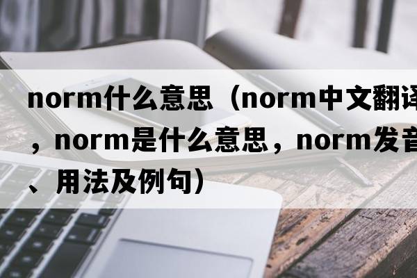norm什么意思（norm中文翻譯，norm是什么意思，norm發(fā)音、用法及例句）