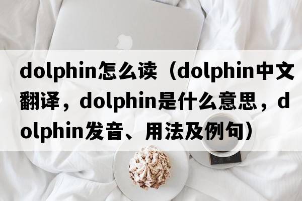 dolphin怎么讀（dolphin中文翻譯，dolphin是什么意思，dolphin發(fā)音、用法及例句）