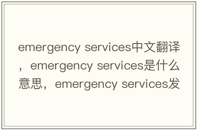 emergency services中文翻譯，emergency services是什么意思，emergency services發(fā)音、用法及例句