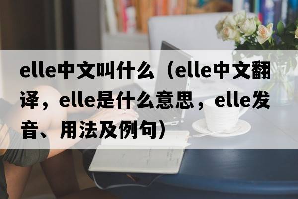 elle中文叫什么（elle中文翻譯，elle是什么意思，elle發(fā)音、用法及例句）
