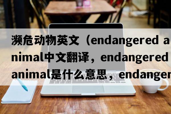瀕危動(dòng)物英文（endangered animal中文翻譯，endangered animal是什么意思，endangered animal發(fā)音、用法及例句）