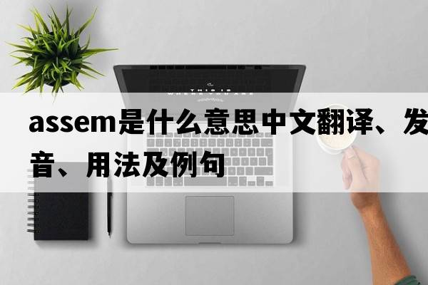 assem是什么意思中文翻譯、發(fā)音、用法及例句