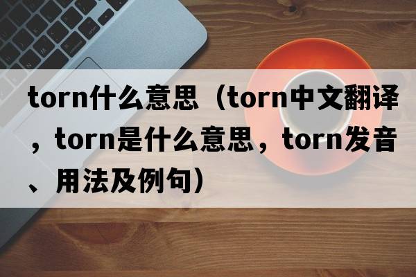 torn什么意思（torn中文翻譯，torn是什么意思，torn發(fā)音、用法及例句）