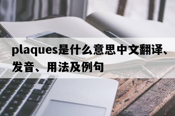 plaques是什么意思中文翻譯、發(fā)音、用法及例句