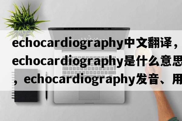 echocardiography中文翻譯，echocardiography是什么意思，echocardiography發(fā)音、用法及例句