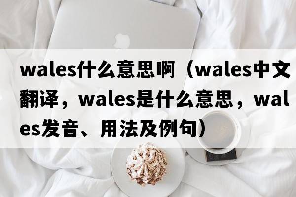 wales什么意思啊（wales中文翻譯，wales是什么意思，wales發(fā)音、用法及例句）