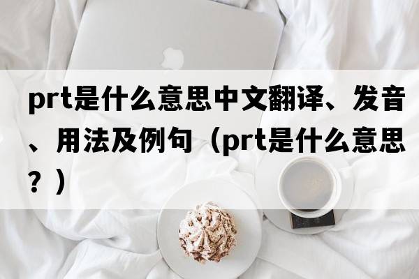 prt是什么意思中文翻譯、發(fā)音、用法及例句（prt是什么意思？）