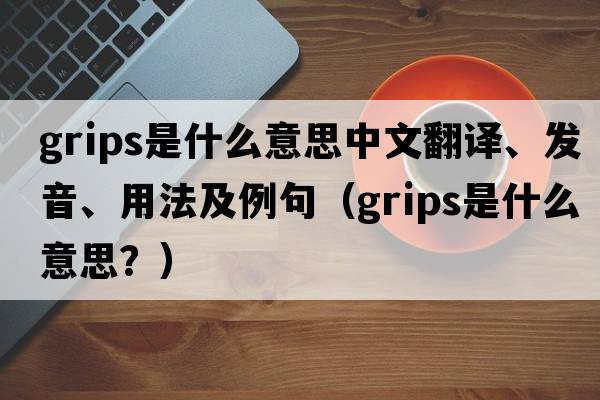 grips是什么意思中文翻譯、發(fā)音、用法及例句（grips是什么意思？）