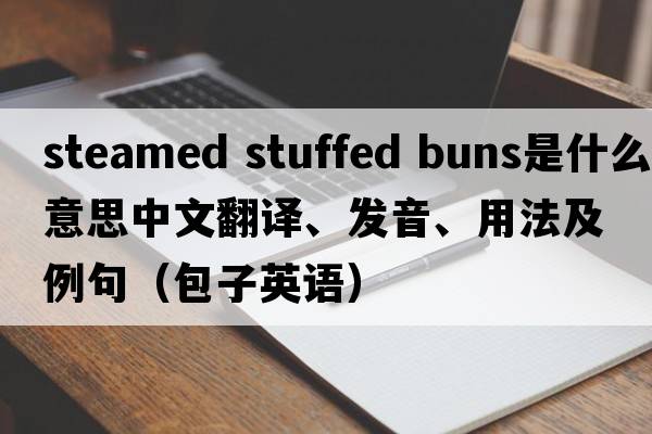 steamed stuffed buns是什么意思中文翻譯、發(fā)音、用法及例句（包子英語(yǔ)）
