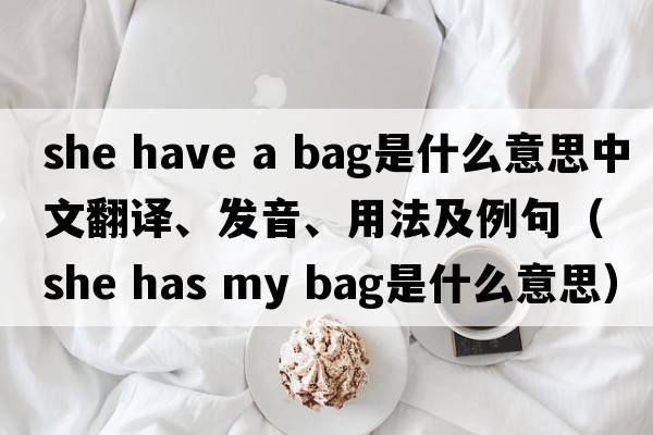 she have a bag是什么意思中文翻譯、發(fā)音、用法及例句（she has my bag是什么意思）