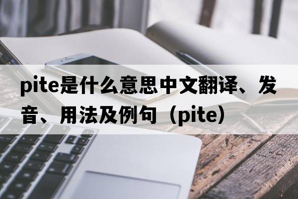PITE是什么意思中文翻譯、發(fā)音、用法及例句（pite）