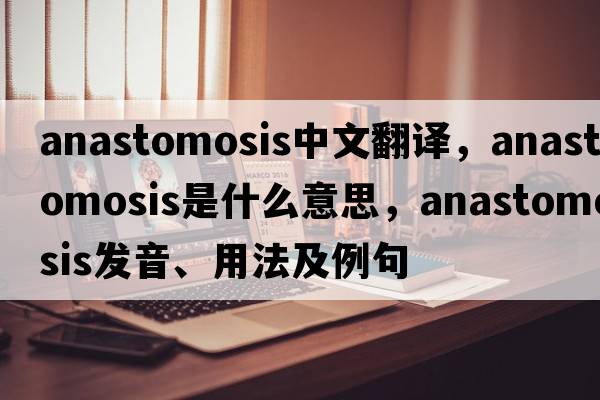anastomosis中文翻譯，anastomosis是什么意思，anastomosis發(fā)音、用法及例句