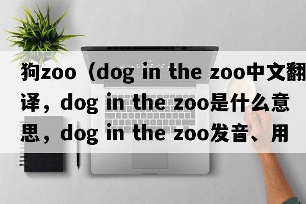 狗zoo（dog in the zoo中文翻譯，dog in the zoo是什么意思，dog in the zoo發(fā)音、用法及例句）